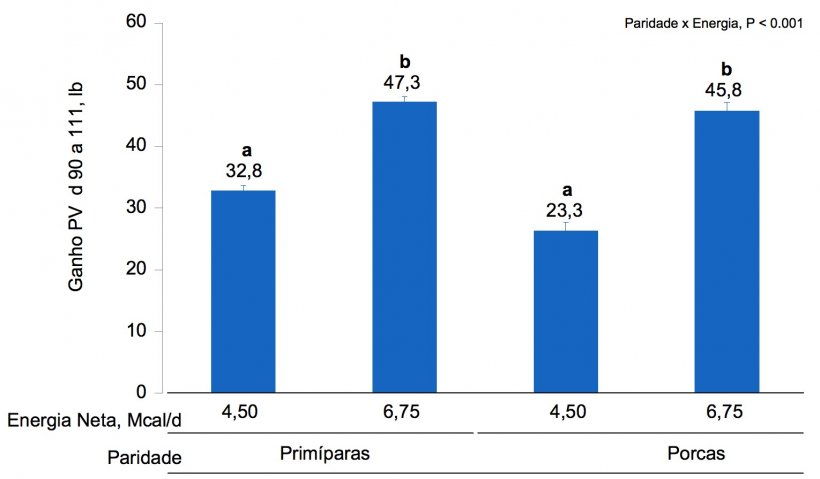 Figura 1B. &nbsp;Efeitos da alimenta&ccedil;&atilde;o&nbsp;com&nbsp;diferentes niveis&nbsp;de energia&nbsp;desde o&nbsp;dia&nbsp;90 ao dia 111 de gesta&ccedil;&atilde;o, no&nbsp;ganho de PV de prim&iacute;paras&nbsp;e&nbsp;porcas. As m&eacute;dias com&nbsp;um&nbsp;super-&iacute;ndice diferente dentro do&nbsp;n&iacute;vel de paridade s&atilde;o&nbsp;diferentes&nbsp;(P &lt;0,05).
